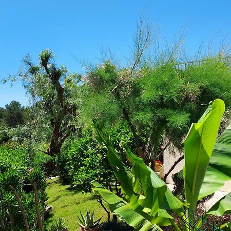 Jolie Maison Hauteur D'antibes בית נופש