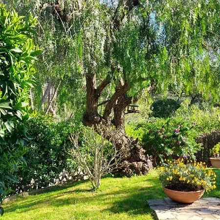 Jolie Maison Hauteur D'antibes Сasa de vacaciones