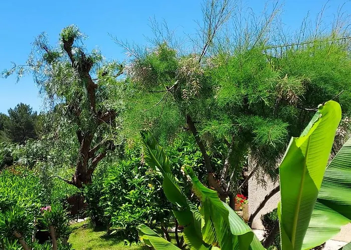 Jolie Maison Hauteur D'antibes Дом отдыха